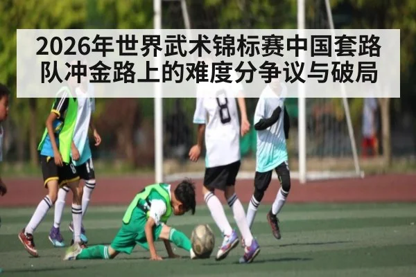 2026年世界武术锦标赛中国套路队冲金路上的难度分争议与破局